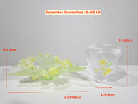 Twelve Flower Goddesses · Blossom Wine Collection · September Osmanthus · Ban Zhao 班昭