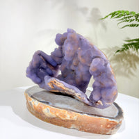 Natural Amethyst Crystal Geode · One-of-a-Kind Mineral Specimen