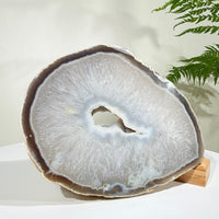 Natural Amethyst Crystal Geode · One-of-a-Kind Mineral Specimen