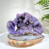 Natural Amethyst Crystal Geode · One-of-a-Kind Mineral Specimen