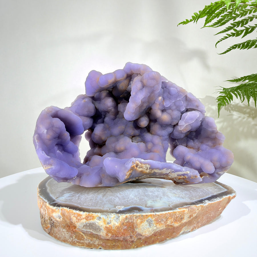 Natural Amethyst Crystal Geode · One-of-a-Kind Mineral Specimen