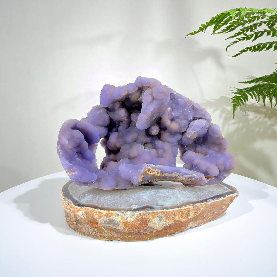 Natural Amethyst Crystal Geode · One-of-a-Kind Mineral Specimen