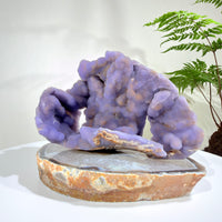 Natural Amethyst Crystal Geode · One-of-a-Kind Mineral Specimen