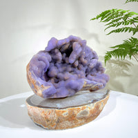 Natural Amethyst Crystal Geode · One-of-a-Kind Mineral Specimen