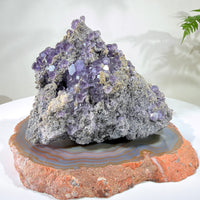 Natural Amethyst Crystal Cluster · One-of-a-Kind Mineral Specimen