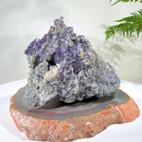 Natural Amethyst Crystal Cluster · One-of-a-Kind Mineral Specimen