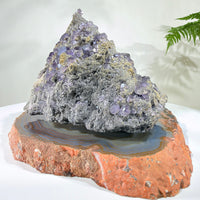 Natural Amethyst Crystal Cluster · One-of-a-Kind Mineral Specimen