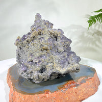 Natural Amethyst Crystal Cluster · One-of-a-Kind Mineral Specimen