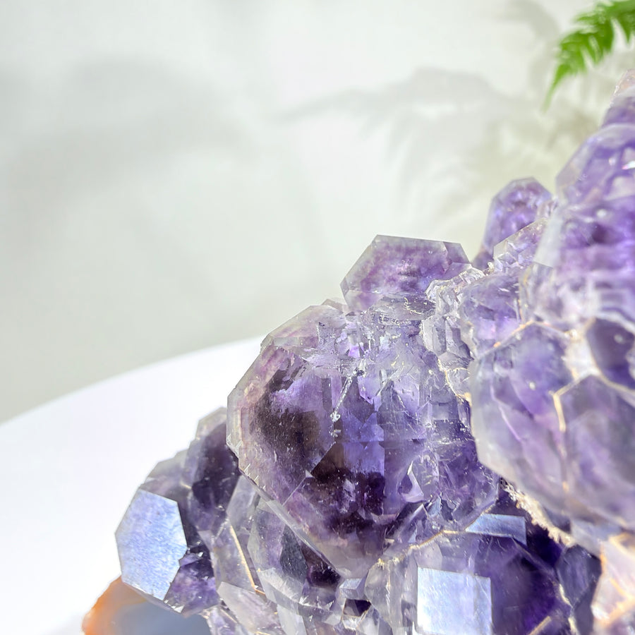 Natural Amethyst Crystal Cluster · One-of-a-Kind Mineral Specimen