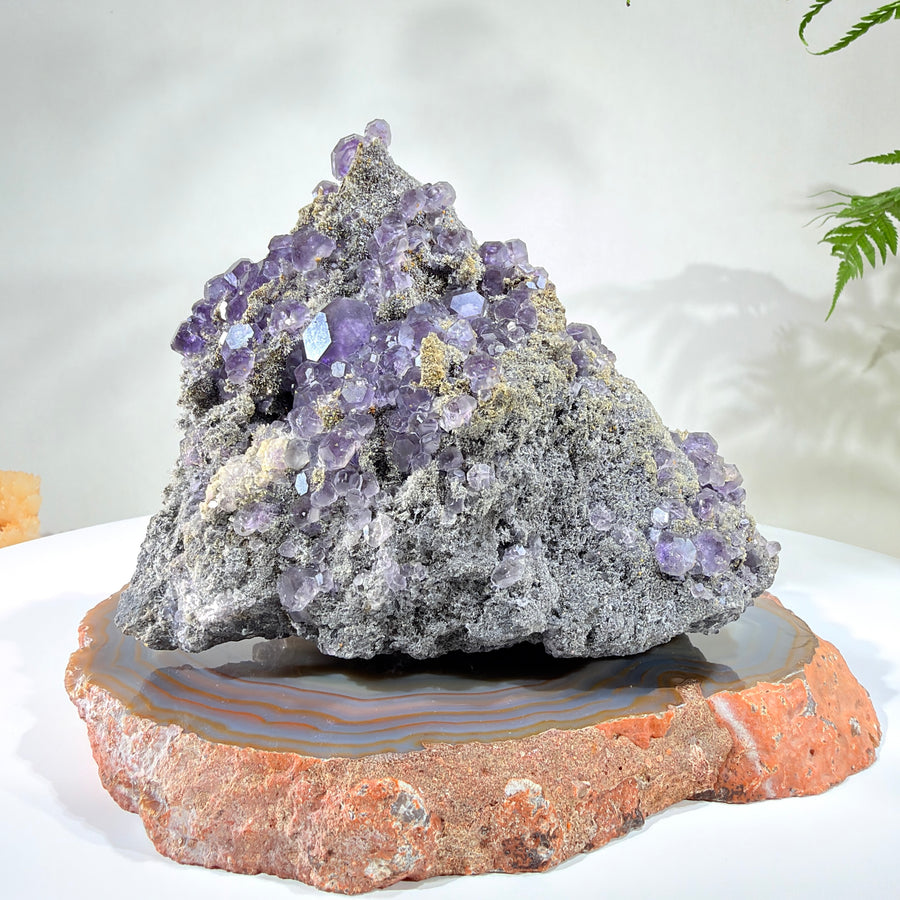 Natural Amethyst Crystal Cluster · One-of-a-Kind Mineral Specimen