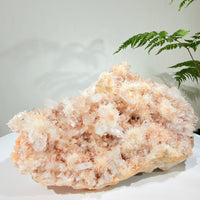 Natural Peach Crystal Cluster · One-of-a-Kind Mineral Specimen