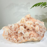 Natural Peach Crystal Cluster · One-of-a-Kind Mineral Specimen