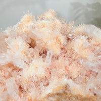Natural Peach Crystal Cluster · One-of-a-Kind Mineral Specimen