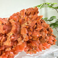 Natural Red Calcite Crystal Cluster · One-of-a-Kind Formation