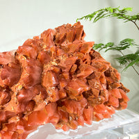 Natural Red Calcite Crystal Cluster · One-of-a-Kind Formation