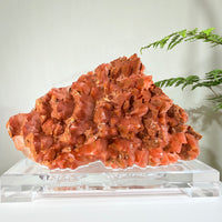 Natural Red Calcite Crystal Cluster · One-of-a-Kind Formation