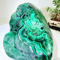 Natural Malachite · One-of-a-Kind Sculptural Mineral Specimen