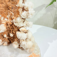 Natural White Crystal Flower Formation · One-of-a-Kind Specimen
