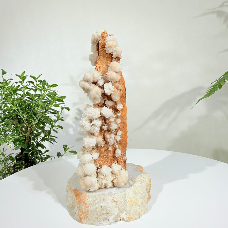 Natural White Crystal Flower Formation · One-of-a-Kind Specimen