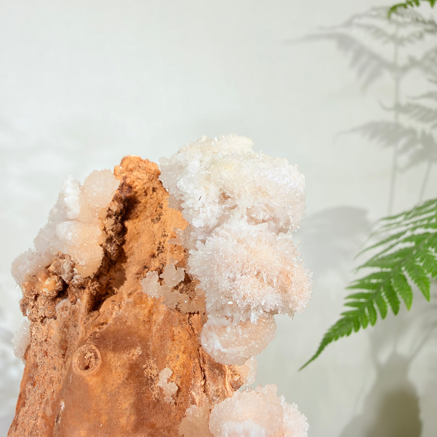 Natural White Crystal Flower Formation · One-of-a-Kind Specimen