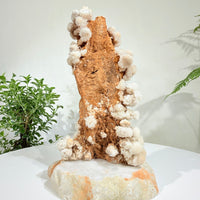 Natural White Crystal Flower Formation · One-of-a-Kind Specimen