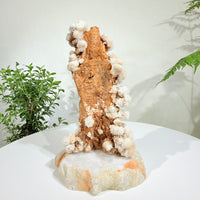 Natural White Crystal Flower Formation · One-of-a-Kind Specimen