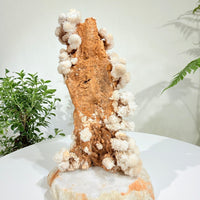 Natural White Crystal Flower Formation · One-of-a-Kind Specimen