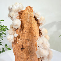 Natural White Crystal Flower Formation · One-of-a-Kind Specimen