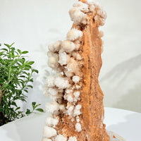 Natural White Crystal Flower Formation · One-of-a-Kind Specimen