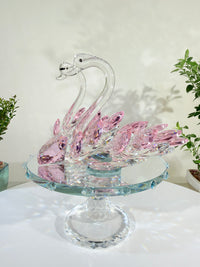 Two Swans, A Springtime Together
