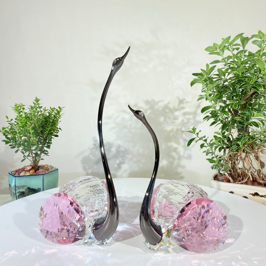Two Swans, Grace in Strength