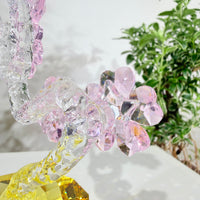 Pink Plum Blossom · After the Storm, We Still Bloom