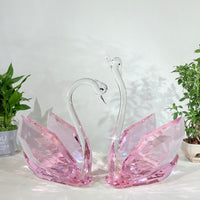 Two Swans, One Enduring Love