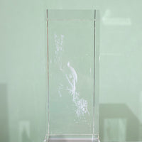 Parrot Among Blossoms · K9 Crystal Laser Art